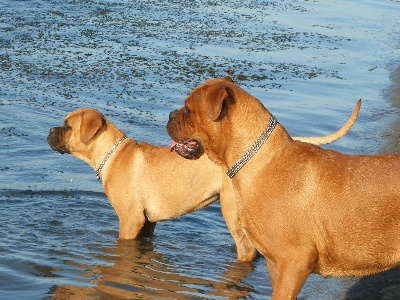 de la pointe de la camargue - DEUX MIGNONNES !